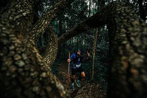 BIB: 
                            <button type="button" onclick="openModal(25673728)" class="btn btn-primary btn-sm float-right btn-popup" data-toggle="modal" data-target=".modal-high-quality">
                        <i class="fas fa-shopping-cart"></i> Add to Cart
                    </button>
                                            <button type="button" onclick="isThisMe(25673728, true)" class="btn btn-success btn-sm float-right btn-popup btn-isme hidden" data-toggle="tooltip" data-placement="bottom" title="นี่คือรูปของคุณใช่ไหม คลิกที่นี่เพื่อเอาเข้าอัลบั้ม">
                        <i class="fas fa-plus"></i> Add to album
                    </button>
                    <button type="button" onclick="isThisMe(25673728, false)" class="btn btn-warning btn-sm float-right btn-popup btn-isnotme hidden">
                        <i class="fas fa-ban"></i> Remove from album
                    </button>